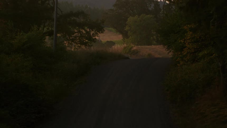 A slow, immersive journey down a tree-lined gravel road reveals a hazy, golden-lit country landscape at sunset