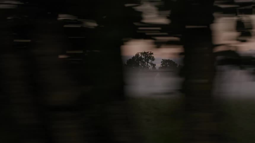 A tracking shot from a moving vehicle captures a mysterious foggy field with a distant treeline at dusk