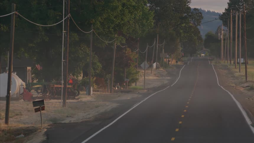Driving slowly along a deserted country road surrounded by trees and telephone poles during a hazy dawn