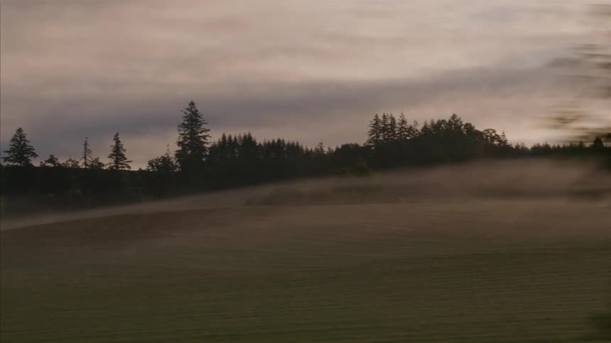 A serene, wide panning shot of a foggy rural landscape with rolling hills and trees at sunrise