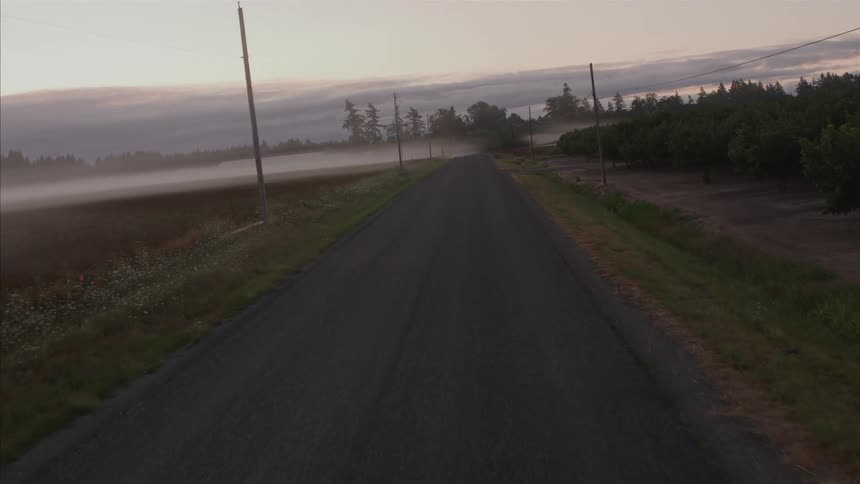 A serene, slow forward-moving shot down a deserted country road as thick fog blankets the surrounding fields at sunrise