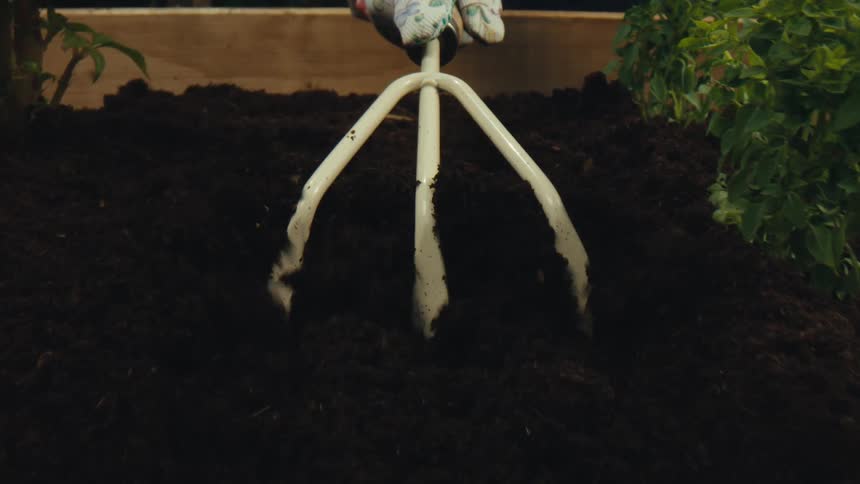 Slow motion close-up of a hand cultivator tilling the dark soil in a raised garden bed
