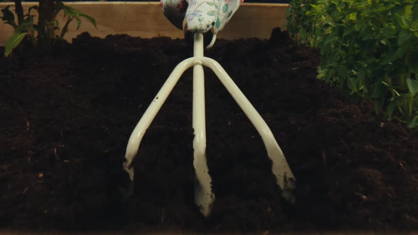 A gardener in floral gloves uses a hand cultivator to till the rich, dark soil in a wooden raised garden bed in slow motion