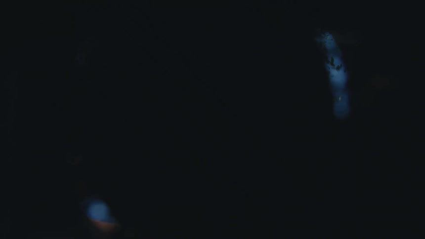 A unique point-of-view from inside a hole in the ground as a woman with glasses carefully plants a seedling, covering the camera