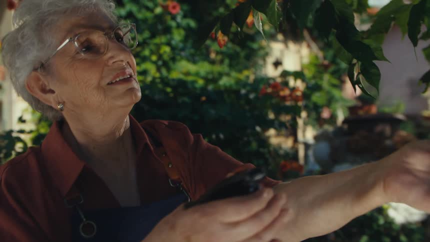 A smiling elderly woman in an apron carefully mists the leaves of a plant with a spray bottle in her lush, sunny garden
