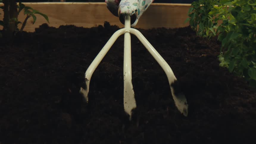 A gardener in floral gloves uses a hand cultivator to till the rich, dark soil in a wooden planter box in slow motion