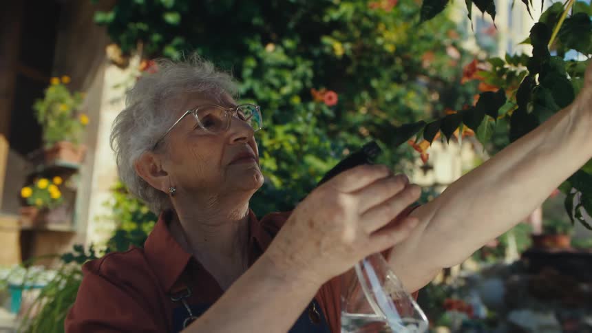 A serene elderly woman in glasses gently sprays water on the leaves of her plants in a lush, sunny garden