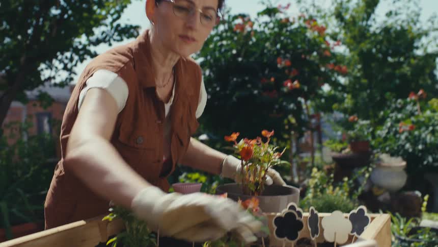 A woman tends to her garden on a sunny day, watering a potted plant and cultivating the soil in a raised bed in slow motion