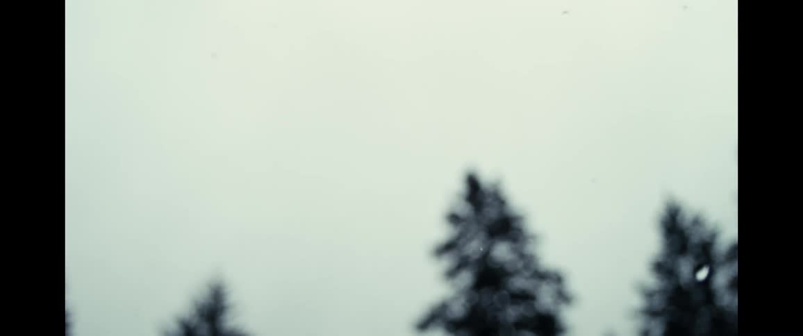 Raindrops fall in slow motion against a blurry, gray sky and dark evergreen trees