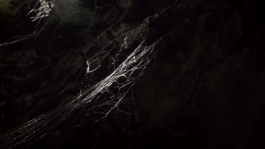 A slow zoom out of a spooky spiderweb illuminated by a single light source in a dark cave