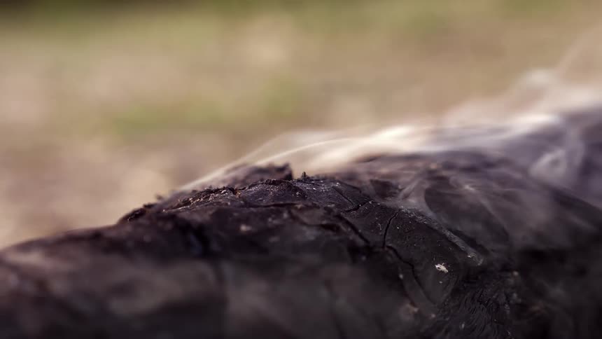 A close-up, slow-motion shot of white smoke gently rising from a smoldering burnt log after a fire
