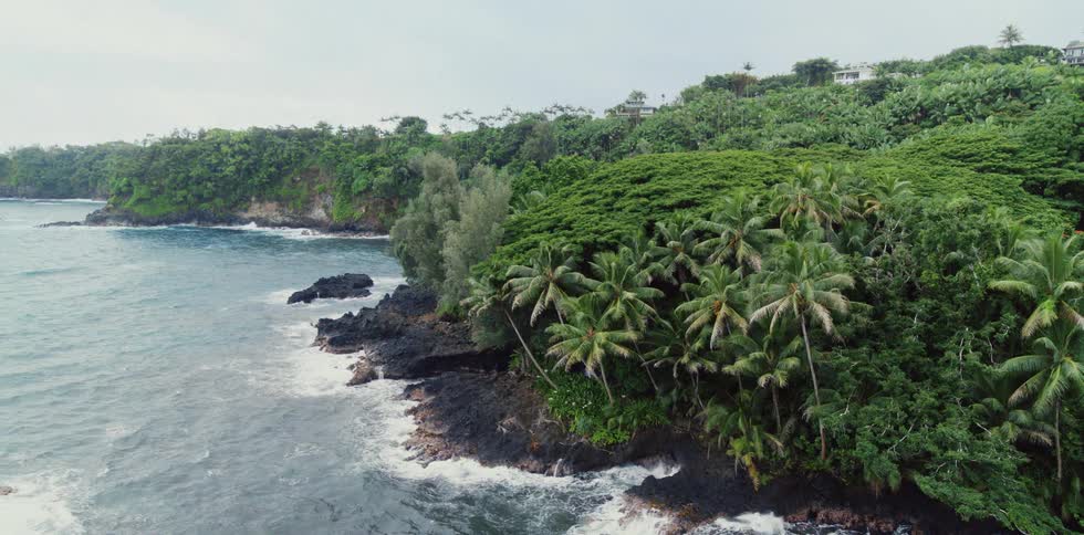 An aerial view of a lush tropical island coastline with palm trees and waves crashing on the rocky shore