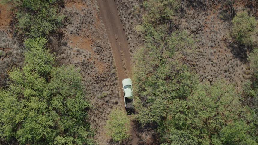 Aerial top-down view of a white truck driving on a rugged dirt road through a wooded, arid landscape