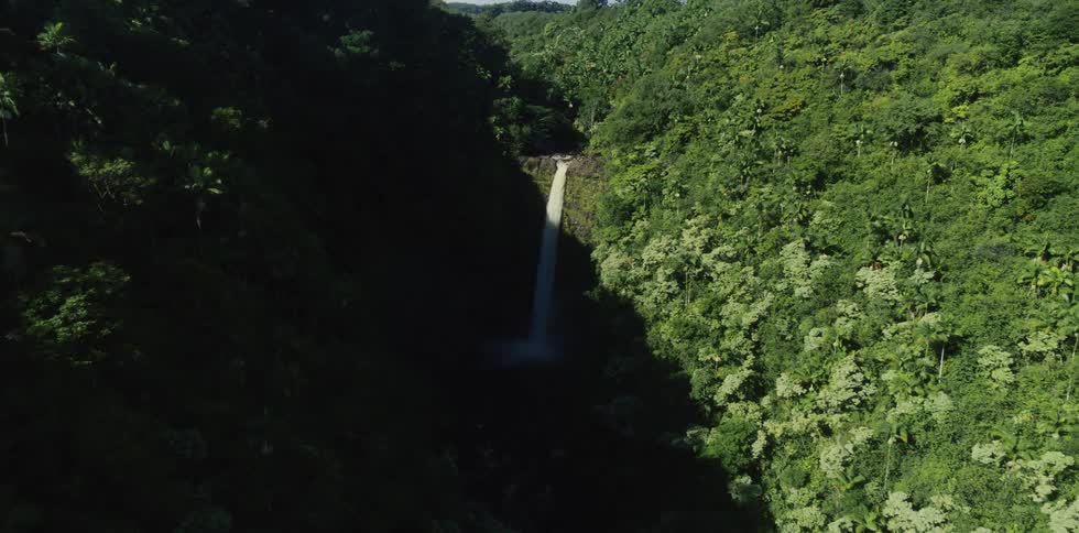 An aerial view slowly pushes in on a spectacular waterfall cascading into a gorge surrounded by a lush tropical jungle