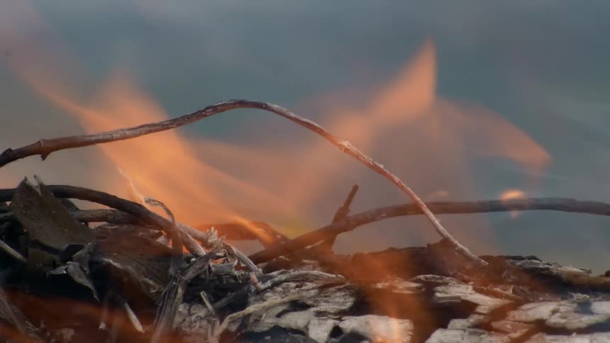 Extreme close-up of a fire with flames and smoke rising from burning wood and twigs