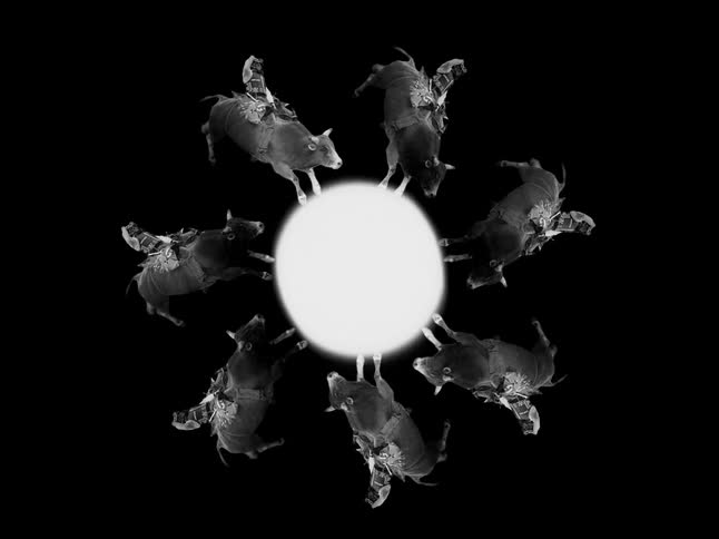 Surreal black and white kaleidoscope animation of bull riders bucking in a circle around a central glowing orb
