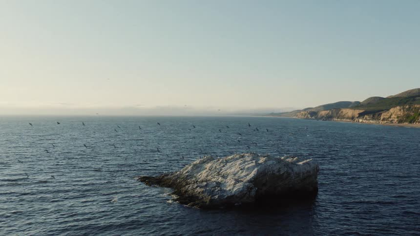 A massive flock of seabirds gracefully flies over the calm ocean past a large rock near a scenic coastline at sunrise