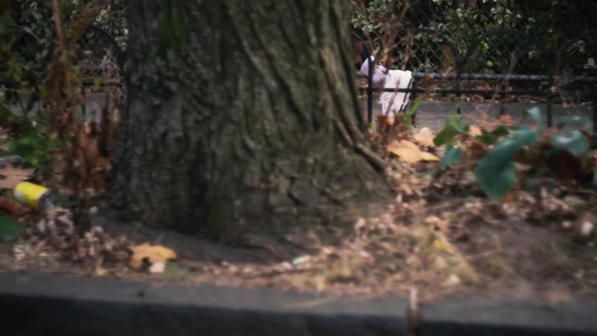 A close-up slow-motion shot of a person's legs as they stretch on an urban sidewalk next to a tree