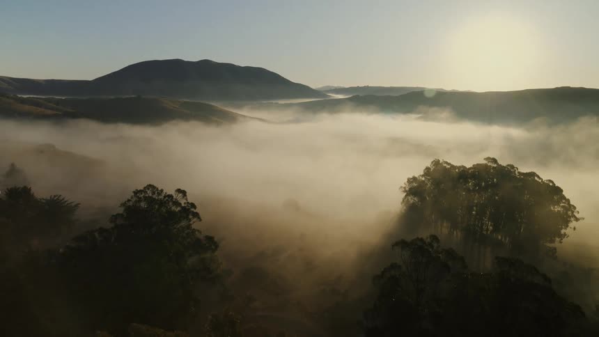 A serene aerial view pulls back over a misty valley at sunrise, revealing silhouetted trees and rolling golden hills
