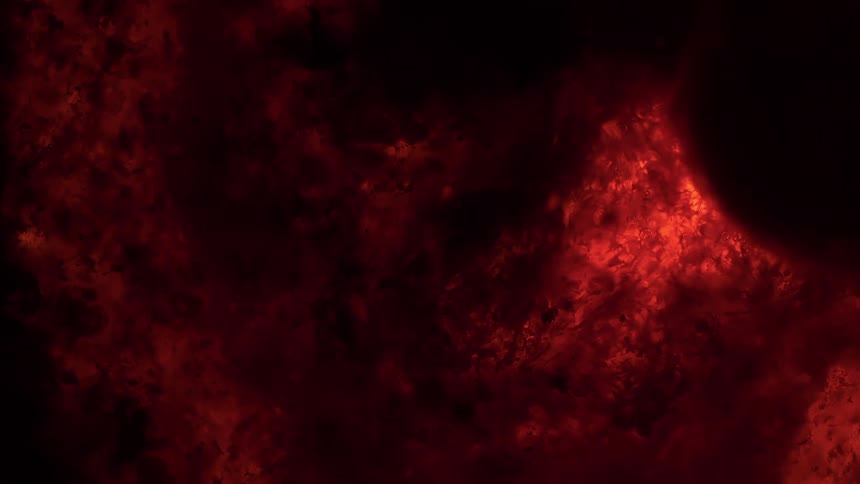 An intense abstract background of fiery red glowing embers pulsating in the darkness