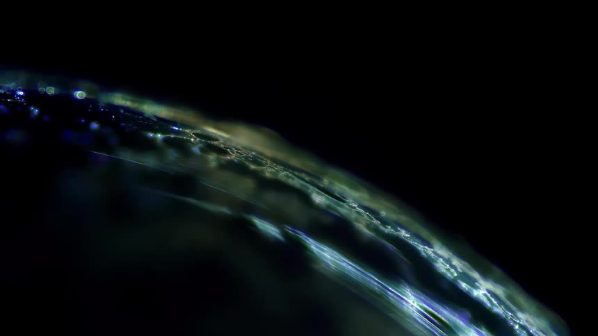 An abstract macro shot of a glowing, translucent filament under a microscope against a black background