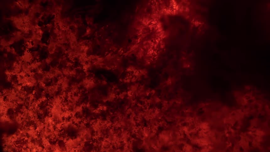 Intense close-up of smoldering, glowing red embers and ashes creating a fiery, abstract background