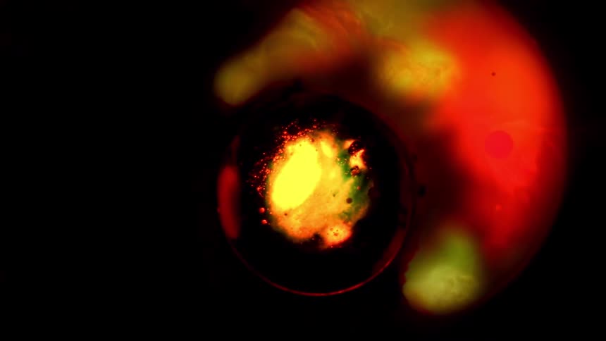 Vibrant red and yellow liquid ink bubbles and reacts in a circular pattern against a black background