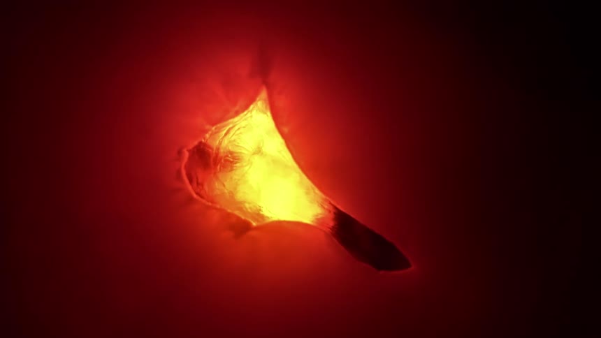 A glowing ember burns a hole through a piece of red paper in a mesmerizing close up
