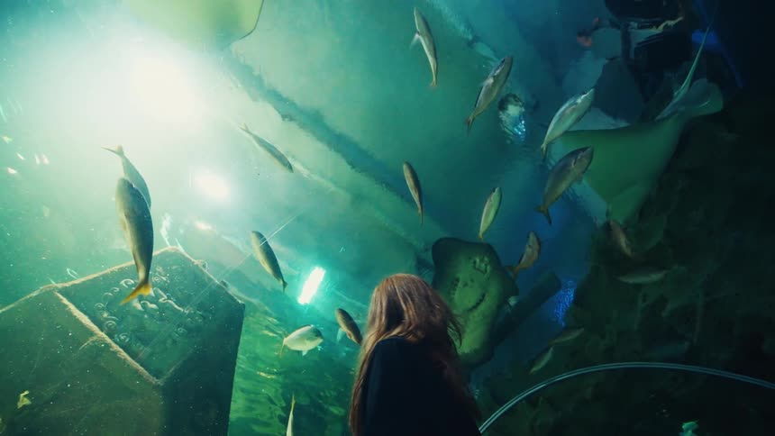 A young woman with red hair gazes in awe as stingrays and fish swim overhead in a large aquarium tunnel
