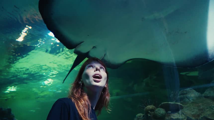 A young woman with red hair watches in amazement as a giant stingray gracefully swims overhead in a large aquarium