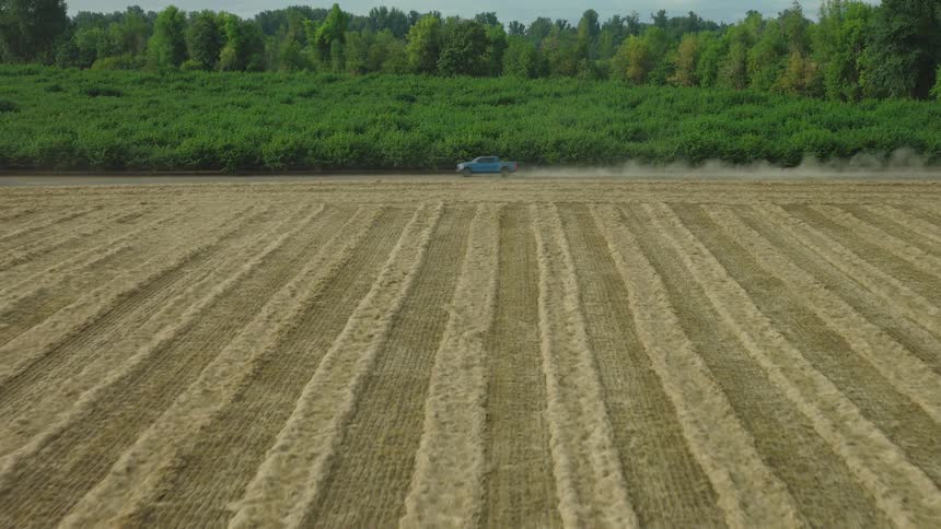 A blue pickup truck drives down a dusty rural road, kicking up dirt next to a freshly harvested hay field