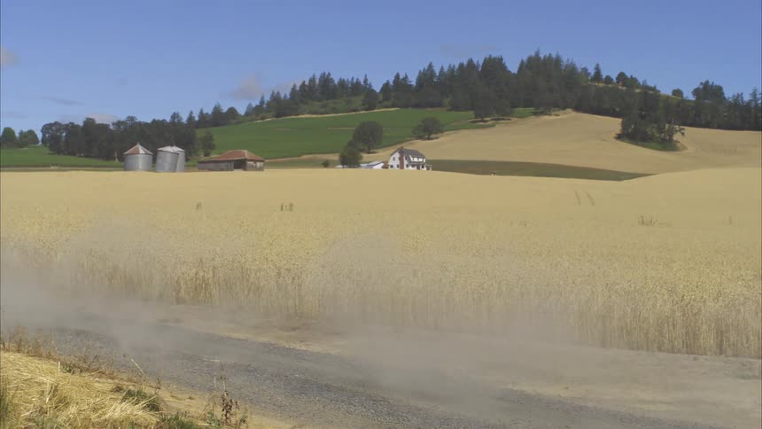 A blue off-road pickup truck drives in slow motion down a dusty gravel road next to a golden wheat field on a sunny day