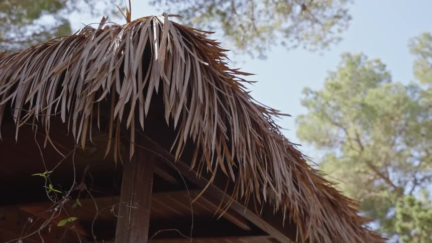A low-angle close-up of a rustic thatched roof made from dried palm leaves sways gently in the breeze