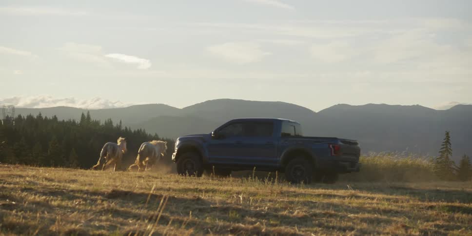 In a stunning slow motion shot, a herd of powerful white horses gallops through a golden mountain field as a pickup truck drives off-road into the sunset