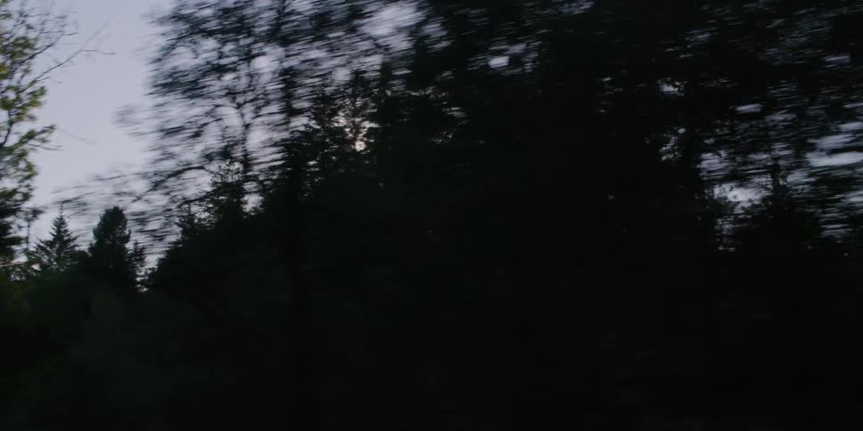 A motion-blurred view from a moving vehicle shows the sun flaring beautifully through dense forest trees