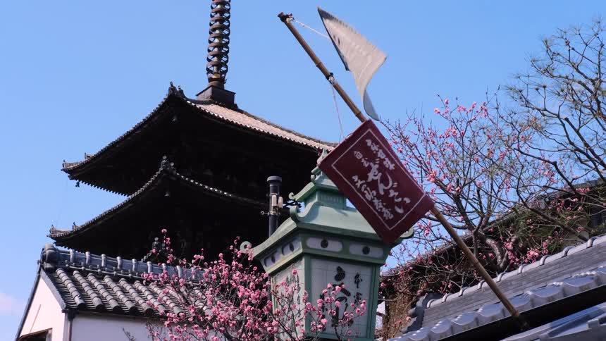 Slow-motion view of traditional Japanese flags waving in the wind near blooming cherry blossoms, with a historic pagoda in the background