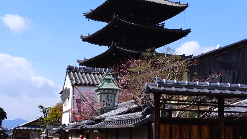 A traditional Japanese pagoda towers over historic tiled rooftops and a blooming pink tree on a bright, sunny day in Kyoto
