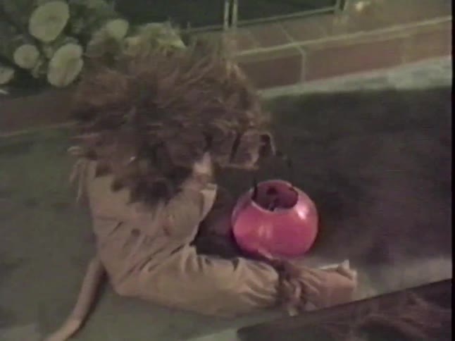 A toddler dressed in a lion costume for Halloween takes off their furry headpiece while sitting on the floor with their candy bucket