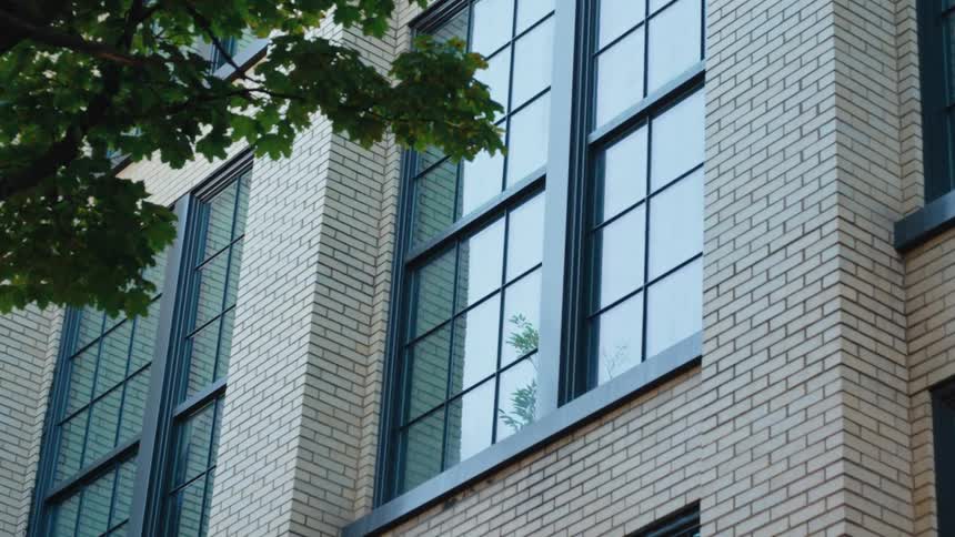 A low-angle shot of a modern light-colored brick building with large windows next to a tree with green leaves