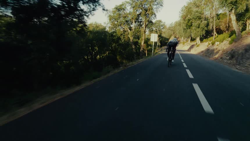 A determined professional cyclist trains hard, pedaling uphill on a scenic, tree-lined country road at golden hour