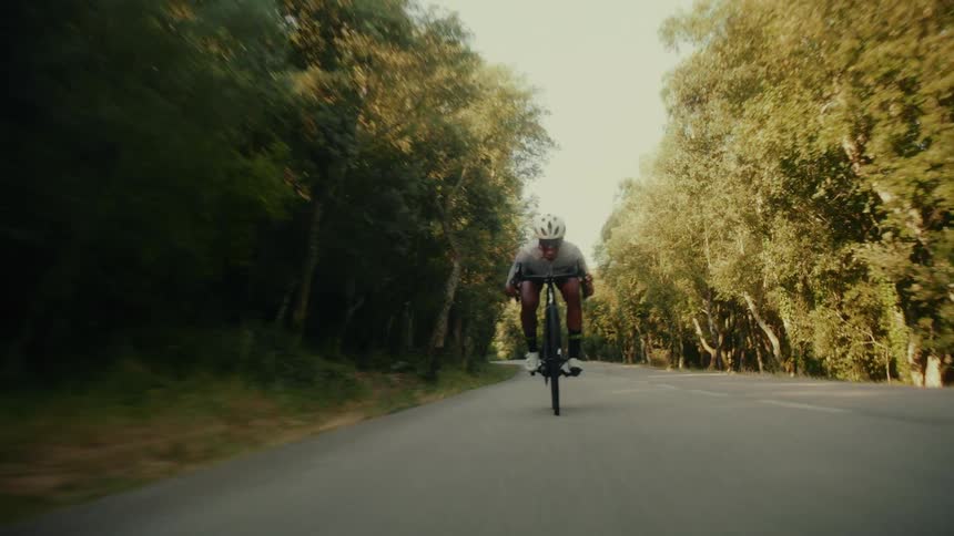 A determined cyclist in professional gear rides his road bike down a scenic, tree-lined road during a golden sunset