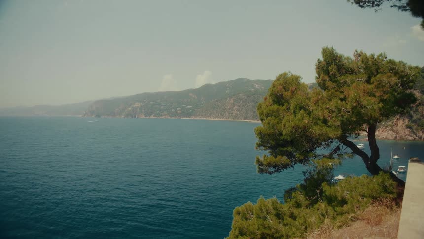 A serene view of a calm blue sea along a picturesque Mediterranean coastline with lush green pine trees in the foreground