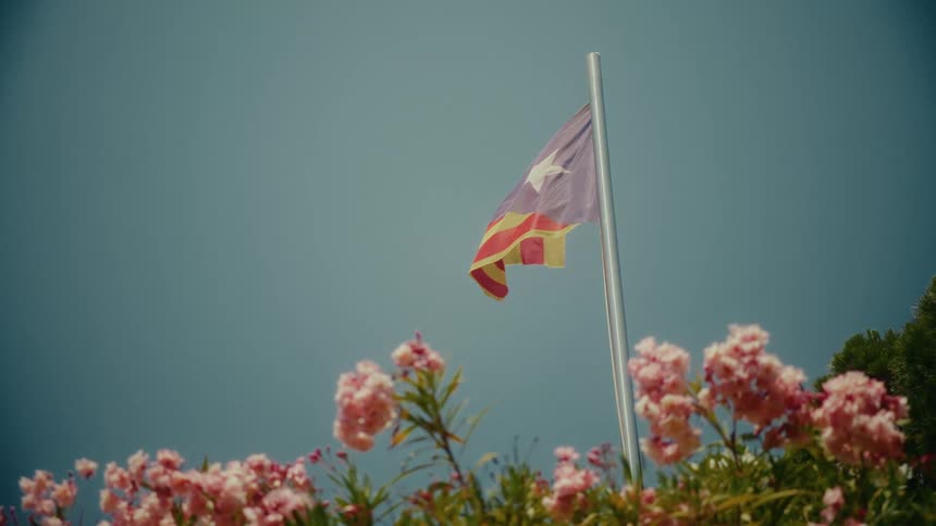 The Catalan Estelada flag waves slowly in the breeze above pink flowers on a sunny day