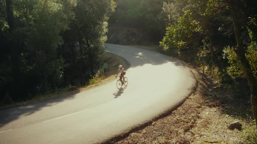 A lone cyclist navigates a sun-dappled, winding country road through a lush green forest