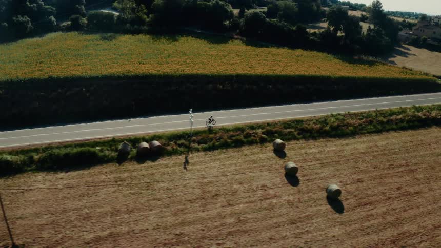 Aerial tracking shot of a cyclist riding on a country road between a sunflower field and a harvested field with hay bales