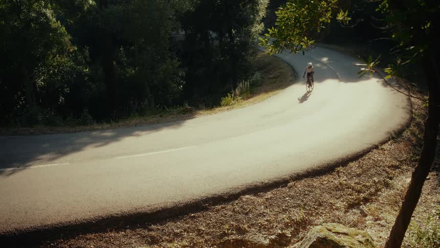 A cyclist rides up a sun-drenched, winding road through a lush green forest