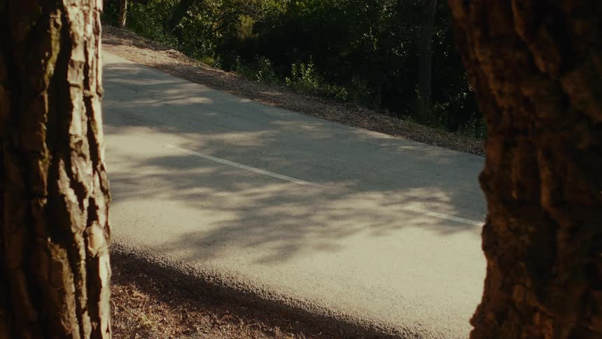 A cyclist speeds down a sun-dappled forest road, viewed between two tree trunks