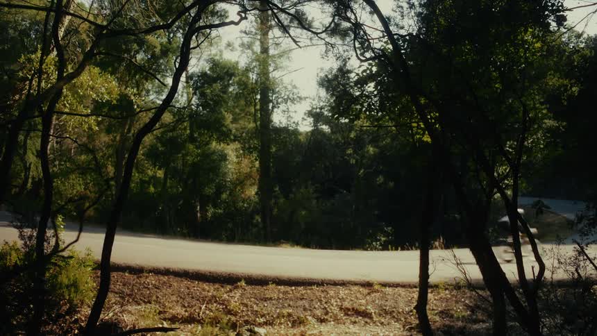 A cyclist speeds down a sunlit, winding road through a forest, viewed from between the trees