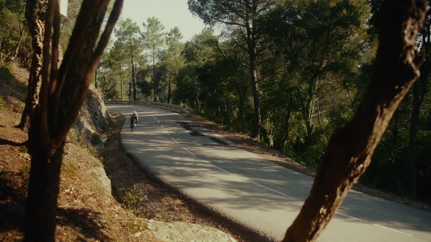 A cyclist rides quickly down a winding paved road through a sunlit forest during the day