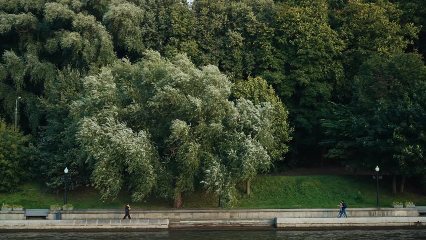 People walk along a scenic river embankment with lush, wind-blown trees in the background